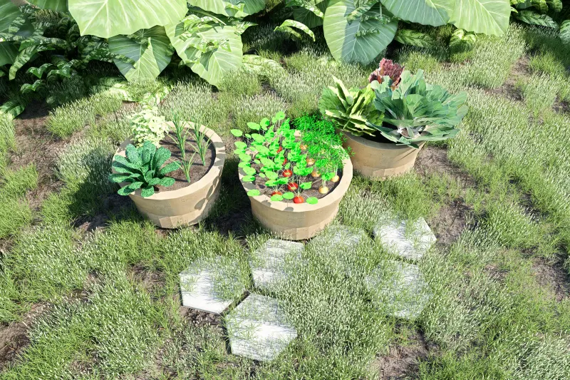 Vasos cerâmicos circulares com plantas aromáticas dispostos sobre relvado.